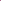 Chemises violettes à col complet pour eClergy